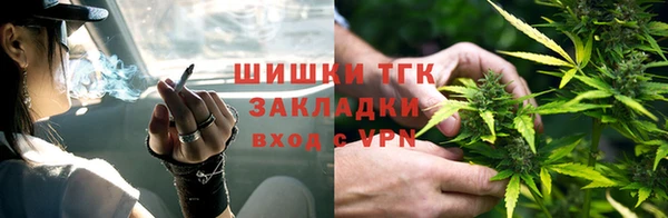 прущие крисы Кукмор