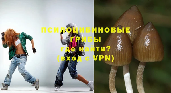 твердый Кулебаки