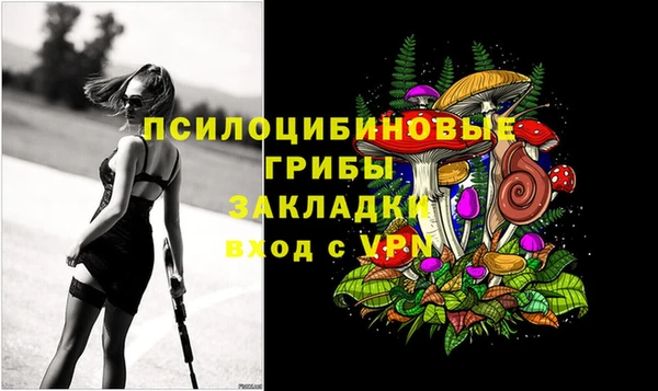прущие крисы Кукмор
